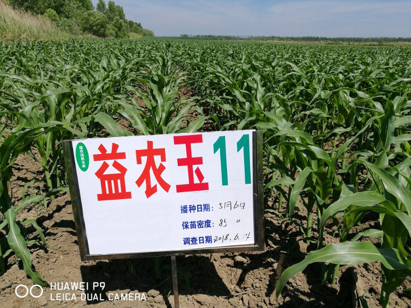 1546649271655545.png image.png