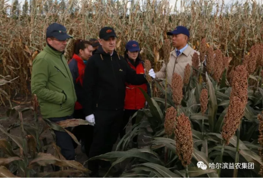 1546656818212947.png image.png