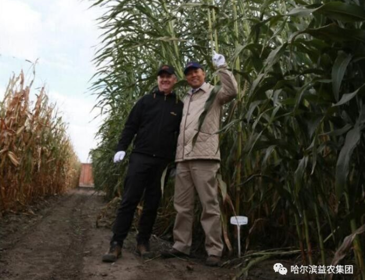 1546656865814343.png image.png