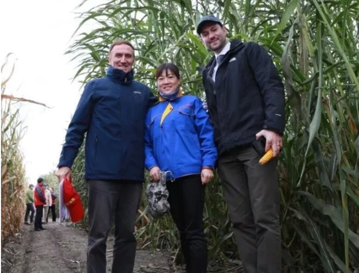 1546656886844509.png image.png