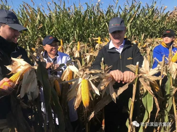 1546656908642265.png image.png