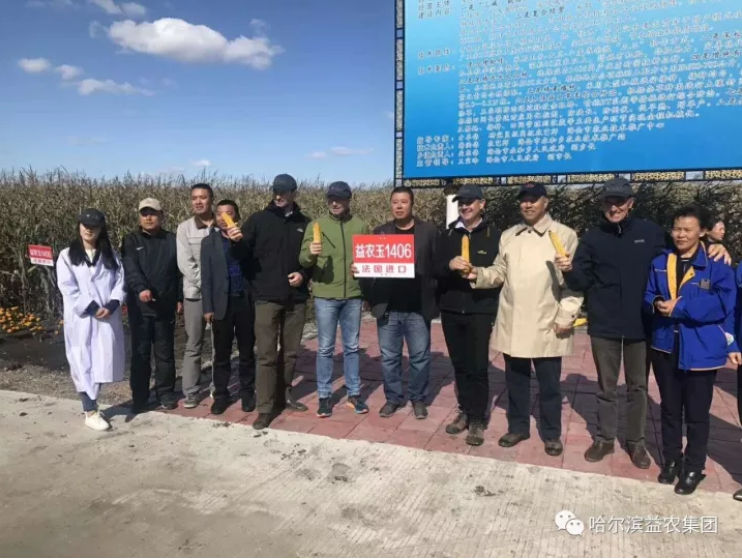 1546656926357133.png image.png