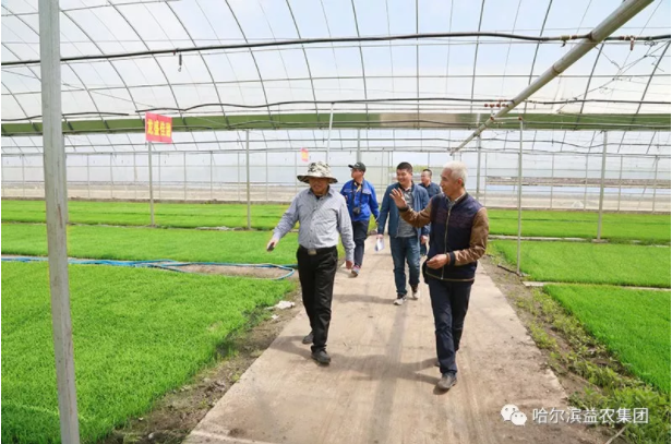 1546658888335543.png image.png