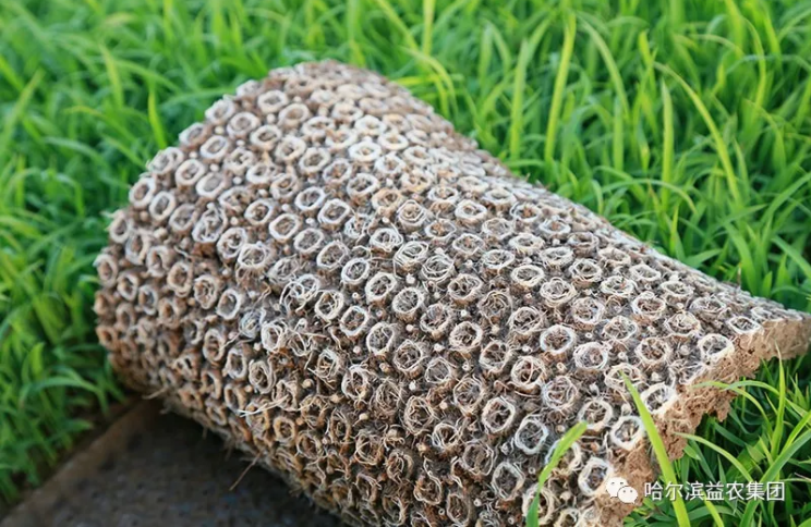 1546658935295679.png image.png