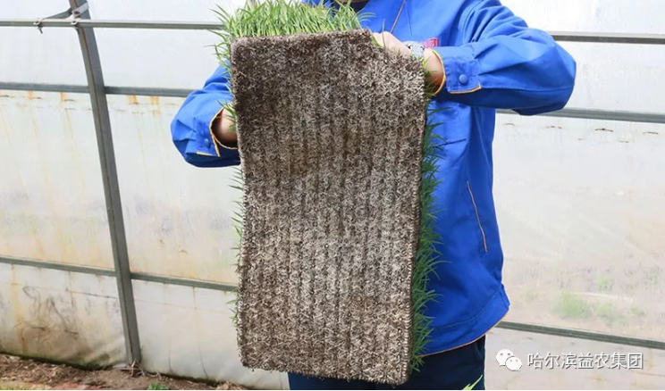 1546659027798855.png image.png