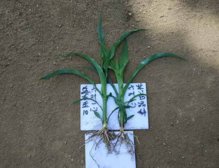 1547698392796298.png image.png