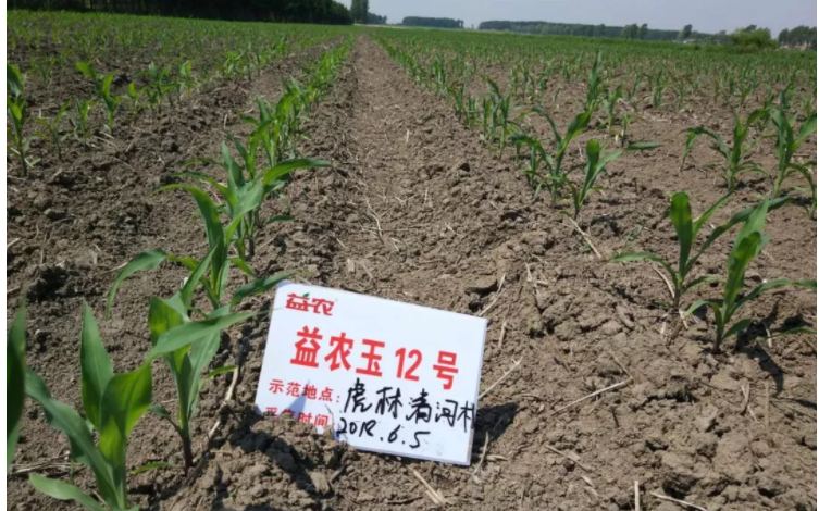 1547698404322170.png image.png