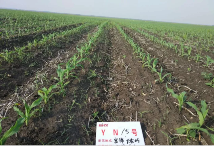 1547698416224312.png image.png