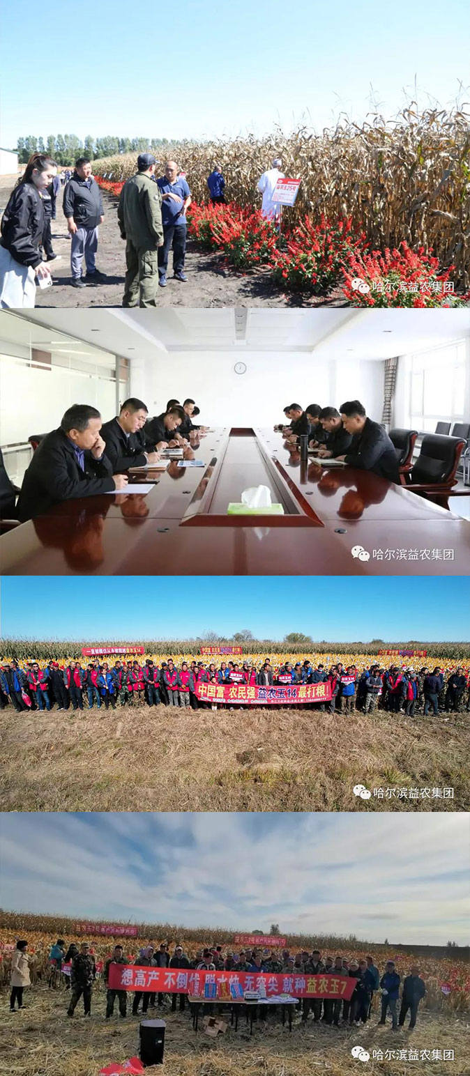 1644911975525183.jpg 44.jpg