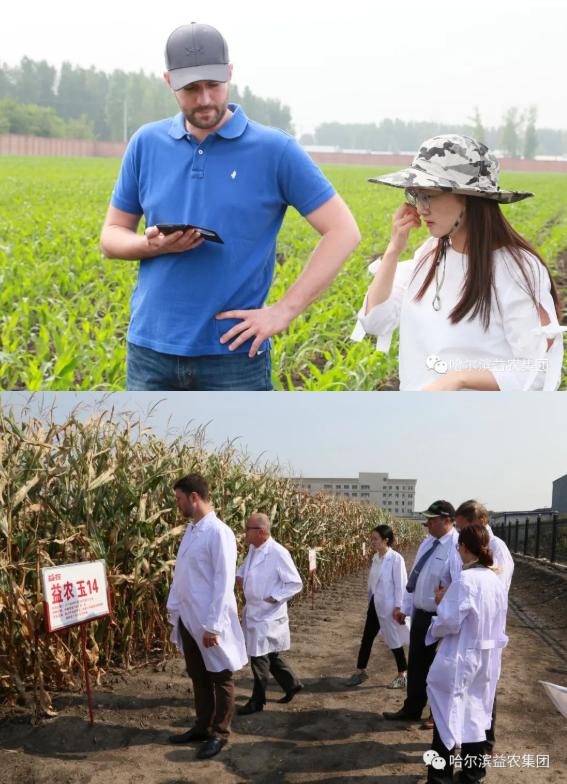 1662539678508277.png 5.png